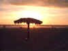 sunset1.jpg (28210 bytes)