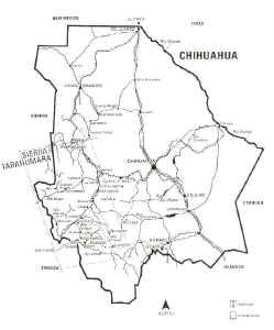 tara_chihuahua.jpg (74729 bytes)
