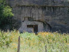 tarahumara cave.jpg (66235 bytes)