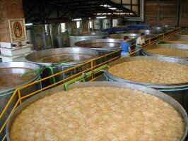 tequila_fermenting_vats.jpg (76360 bytes)