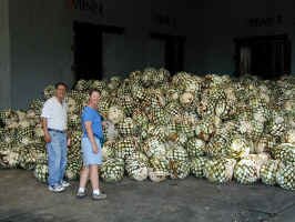 tequila_hearts1.jpg (76316 bytes)