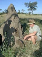 termite.jpg (56738 bytes)