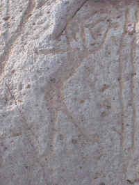 tm4.jpg (99008 bytes)