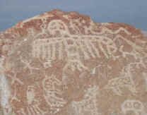 toro_muerte2.jpg (80829 bytes)