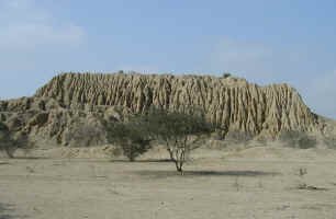 tucume_eroded.jpg (69458 bytes)