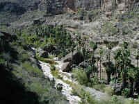 view to flechas.JPG (437457 bytes)