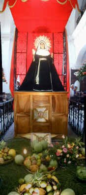 virgin pana.jpg (54918 bytes)