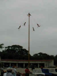 voladores1.jpg (28558 bytes)