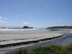 westport_coast1.jpg (48797 bytes)
