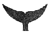 tAIL