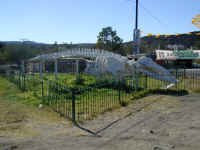 whale skeleton.JPG (396119 bytes)