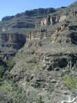 wheres the trail.JPG (557546 bytes)
