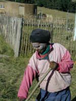 xhosa_gardner.jpg (111230 bytes)