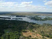 zambezi.jpg (43851 bytes)
